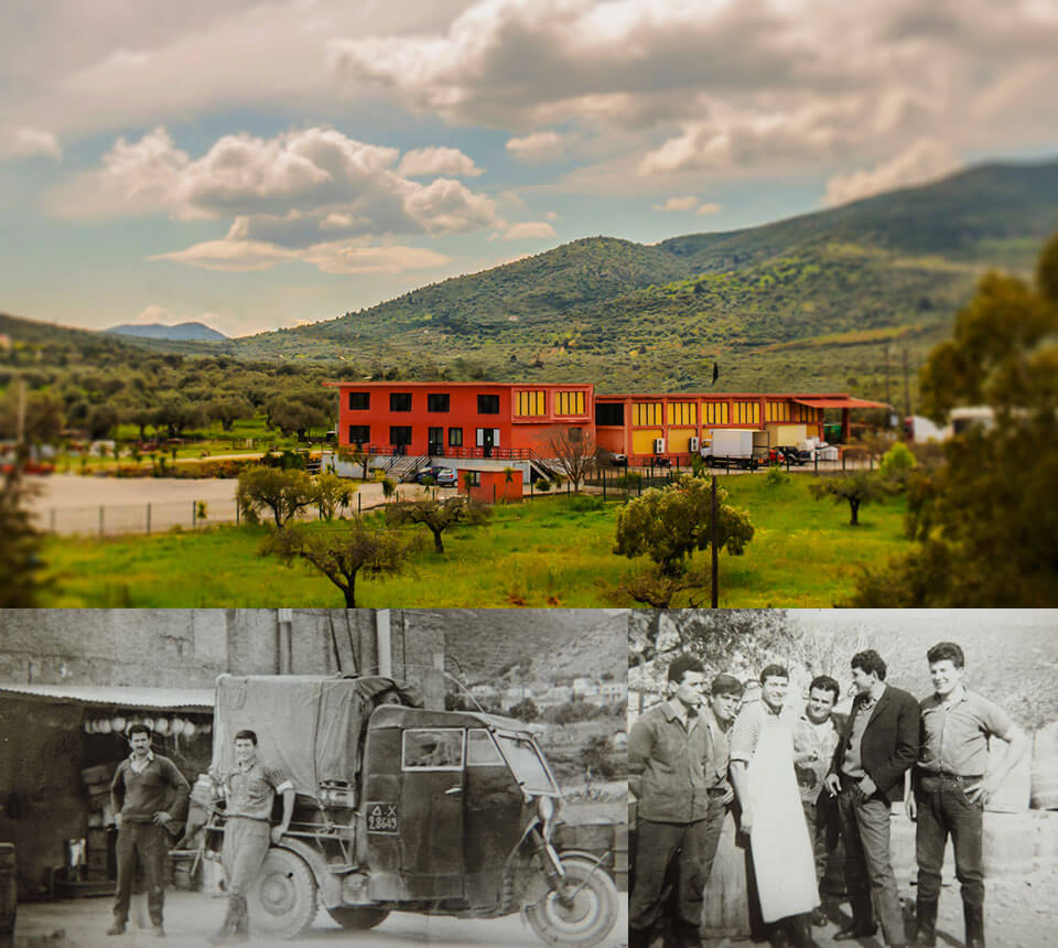 Laviogal, Traditional Cheese Factory, Monemvasia Cheese Factory, Laconia Cheese Factory, Feta, Monemvasia Feta, Goat Cheese, Monemvasia Goat Cheese, Mizithra, Monemvasia Mizithra, Graviera, Monemvasia Graviera, Kefalotyri, Sfela, Psistiri, Butter, Barreled Feta, Feta in a pot, Barreled Goat Cheese, Graviera with olive oil, Graviera with Boukovo, Graviera with Pepper, Krasograviera, Touloumotiri, Monemvasia Cheeses