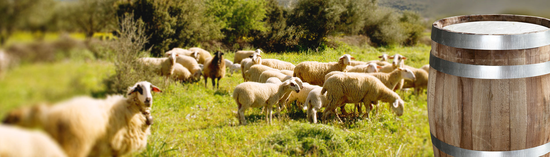 Λαβιογάλ, Παραδοσιακό Τυροκομείο,Τυροκομείο Μονεμβασιάς, Τυροκομείο Λακωνίας, Φέτα, Φέτα Μονεμβασιάς, Κατσικίσιο τυρί, Κατσικίσιο τυρι Μονεμβασιάς, Μυζήθρα, Μυζήθρα Μονεμβασιάς, Γραβιέρα, Γραβιέρα Μονεμβασιάς, Κεφαλοτύρι, Σφέλα, Ψηστύρι, Βούτυρο, Φέτα Βαρελίσια, Φέτα δοχείο, Κατσικίσιο τυρί βαρελίσιο, Γραβιέρα με ελαιόλαδο, Γραβιέρα με Μπούκοβο, Γραβιέρα με Πιπέρι,Κρασογραβιέρα, Τουλουμοτύρι, Τυριά Μονεμβασιάς