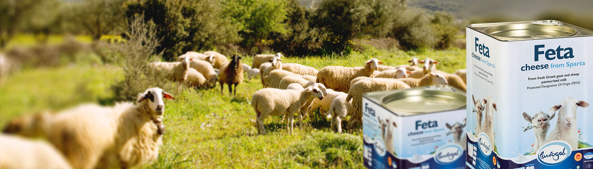 Λαβιογάλ, Παραδοσιακό Τυροκομείο,Τυροκομείο Μονεμβασιάς, Τυροκομείο Λακωνίας, Φέτα, Φέτα Μονεμβασιάς, Κατσικίσιο τυρί, Κατσικίσιο τυρι Μονεμβασιάς, Μυζήθρα, Μυζήθρα Μονεμβασιάς, Γραβιέρα, Γραβιέρα Μονεμβασιάς, Κεφαλοτύρι, Σφέλα, Ψηστύρι, Βούτυρο, Φέτα Βαρελίσια, Φέτα δοχείο, Κατσικίσιο τυρί βαρελίσιο, Γραβιέρα με ελαιόλαδο, Γραβιέρα με Μπούκοβο, Γραβιέρα με Πιπέρι,Κρασογραβιέρα, Τουλουμοτύρι, Τυριά Μονεμβασιάς