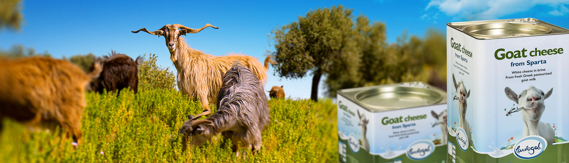 Λαβιογάλ, Παραδοσιακό Τυροκομείο,Τυροκομείο Μονεμβασιάς, Τυροκομείο Λακωνίας, Φέτα, Φέτα Μονεμβασιάς, Κατσικίσιο τυρί, Κατσικίσιο τυρι Μονεμβασιάς, Μυζήθρα, Μυζήθρα Μονεμβασιάς, Γραβιέρα, Γραβιέρα Μονεμβασιάς, Κεφαλοτύρι, Σφέλα, Ψηστύρι, Βούτυρο, Φέτα Βαρελίσια, Φέτα δοχείο, Κατσικίσιο τυρί βαρελίσιο, Γραβιέρα με ελαιόλαδο, Γραβιέρα με Μπούκοβο, Γραβιέρα με Πιπέρι,Κρασογραβιέρα, Τουλουμοτύρι, Τυριά Μονεμβασιάς