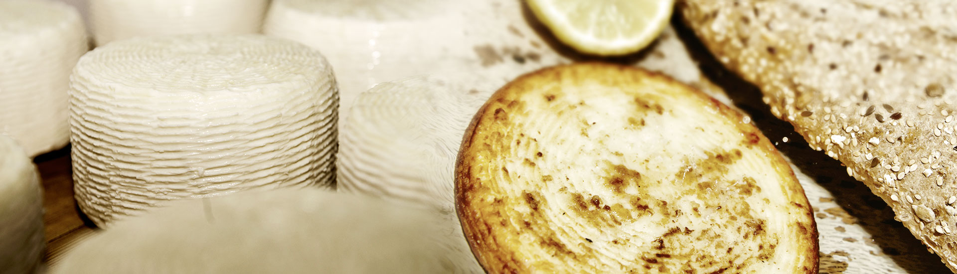 Λαβιογάλ, Παραδοσιακό Τυροκομείο,Τυροκομείο Μονεμβασιάς, Τυροκομείο Λακωνίας, Φέτα, Φέτα Μονεμβασιάς, Κατσικίσιο τυρί, Κατσικίσιο τυρι Μονεμβασιάς, Μυζήθρα, Μυζήθρα Μονεμβασιάς, Γραβιέρα, Γραβιέρα Μονεμβασιάς, Κεφαλοτύρι, Σφέλα, Ψηστύρι, Βούτυρο, Φέτα Βαρελίσια, Φέτα δοχείο, Κατσικίσιο τυρί βαρελίσιο, Γραβιέρα με ελαιόλαδο, Γραβιέρα με Μπούκοβο, Γραβιέρα με Πιπέρι,Κρασογραβιέρα, Τουλουμοτύρι, Τυριά Μονεμβασιάς